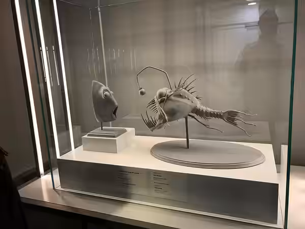 Presentació de l'exposició "Pixar. Construint personatges" al CaixaForum Girona. Inclou: Jerome Ranft: Dory amb els trets de la cara estirats, Buscant en Nemo,  (2021)