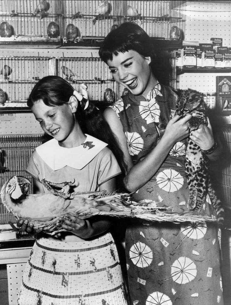 Natalie Wood and her sister Lana, publicity photo, 1956