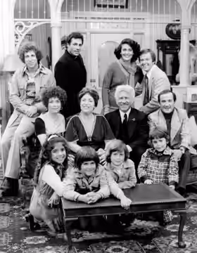 Cast of the television program The Montefuscos. From left: Back-son Nunzio (Sal Viscuso), son Joseph (John Aprea), daughter Angie (Linda Dano), son in law Jim ( (1975)