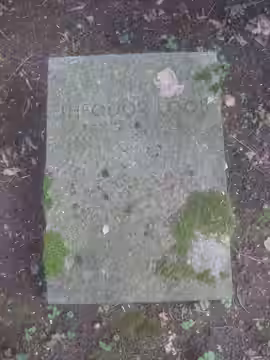 Grab von de:Theodor Loos, Stuttgart, de:Waldfriedhof Stuttgart, Abteilung 54 a. (2014)