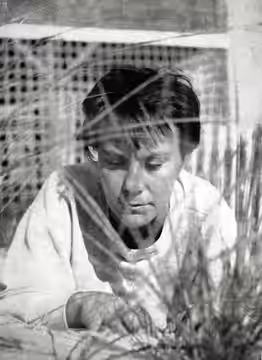 Truman Capote's photo portrait of Harper Lee from the back cover of the first-edition dust jacket for Lee's novel To Kill a Mockingbird. (1960)