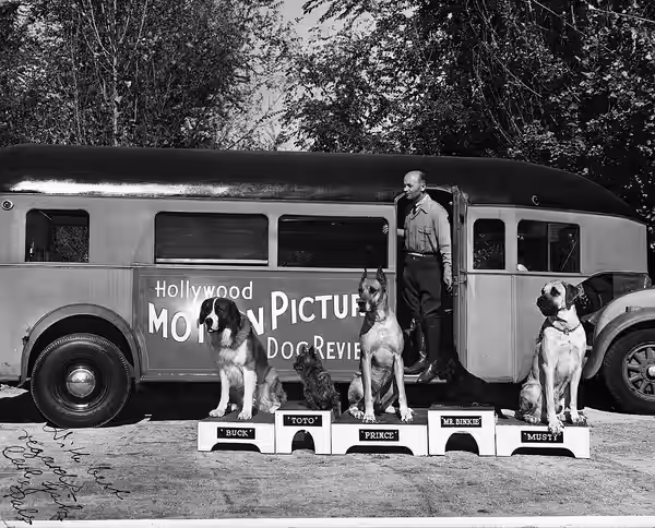Five dogs (Buck, Toto, Prince, Mr. Binkie and Musty) pose with their trainer Carl Spitz outside of his bus circa 1939.