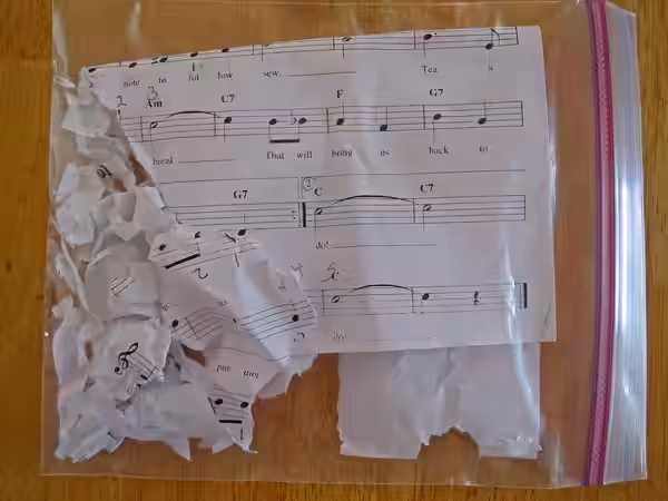 Music allegedly eaten by a dog in a plastic bag (2011)