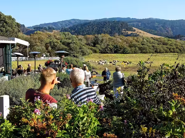 Andreas Richter und John A. Ferguson in Clint Eastwoods Home and Clint Eastwood’s Mission Ranch House, Carmel (2015)
