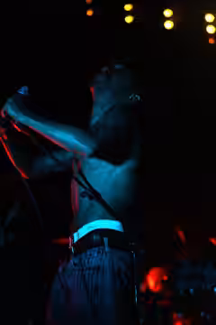 Tricky at Pully For Noise festival 2008