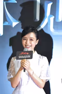 ​天机富春山居图 (张静初) (2013)