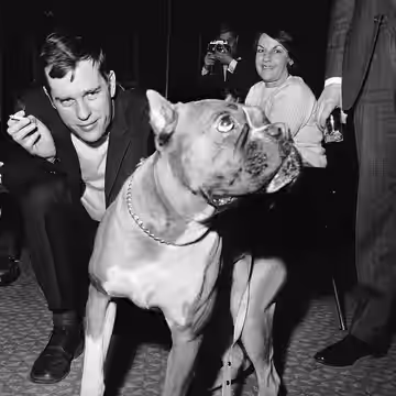 Photograph of the Finnish film director Jörn Donner (1933–2020) promoting his film 69 – Sixtynine with a dog.