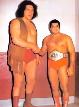 Prowrestlers André the Giant (left) and Pedro Morales (right), then WWWF Heavyweight Champion, shaking hands in 1972 (1983)