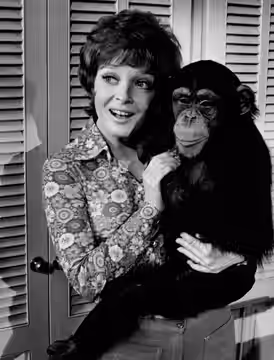 Photo of Anita Gillette as Liz from the short-lived television program Me and the Chimp. (1972)