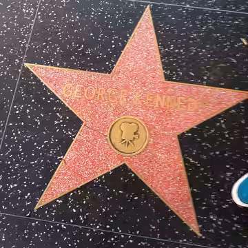 Hollywood Walk of Fame (2013)