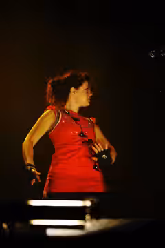 Arcade Fire at the Eurockéennes of 2007