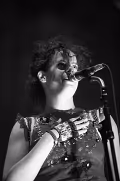 Arcade Fire at the Eurockéennes of 2007