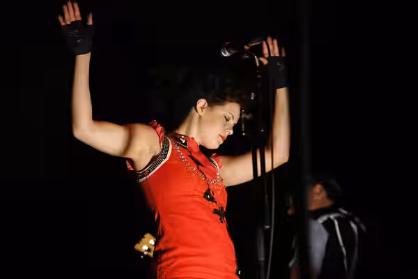 Arcade Fire at the Eurockéennes of 2007