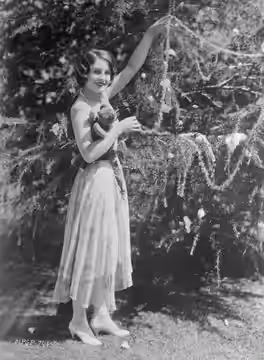 Photograph of Norma Shearer decorating tree. (1925)