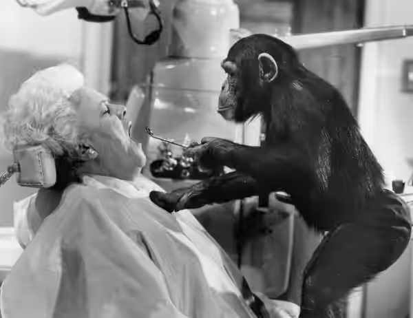 Publicity photo of American actress, Reta Shaw and chimpanzee promoting the CBS television series Me and the Chimp.