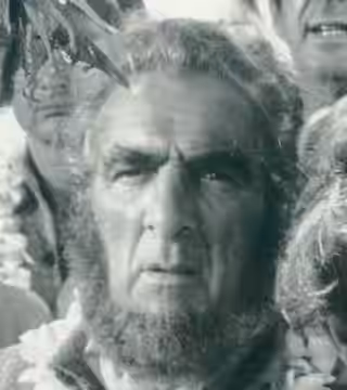 Noel Purcell