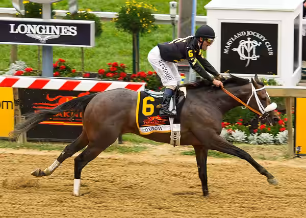 The 138th Annual Preakness by Jay Baker at Baltimore, MD. (2013)