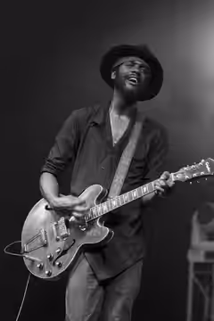 Byron Bay Bluesfest, 2015