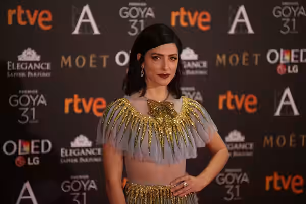 Premios Goya 2017