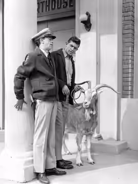 Photo of Andy Griffith and Don Knotts from the television program The Andy Griffith Show. In this episode, Barney becomes extremely stressed when he and Andy ha (1963)