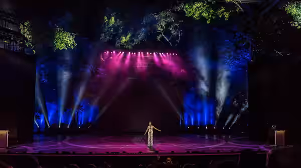 Heather Headley on stage at The Muny Theatre 2018.