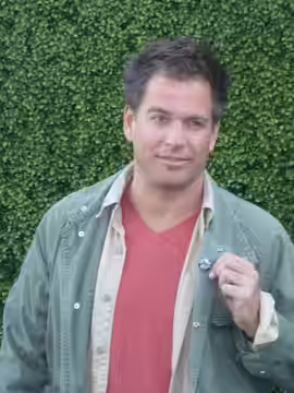 Michael Weatherly (2010)