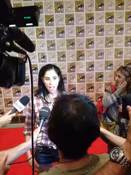 Sarah Silverman in 2012