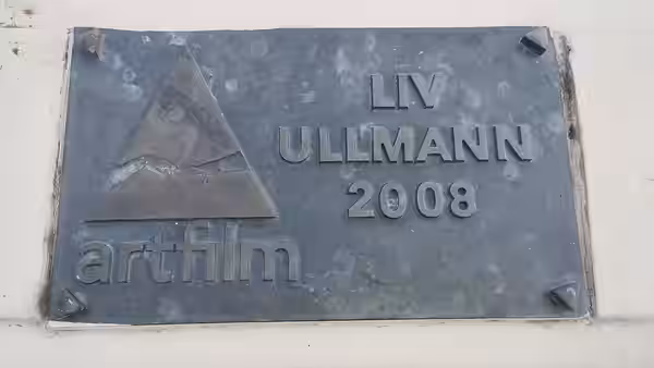 Ceduľa Artist´s Mission Award (Hercova misia) na MFF Art Film pripevnená na starom moste slávy v Trenčianských Tepliciach. (2024)