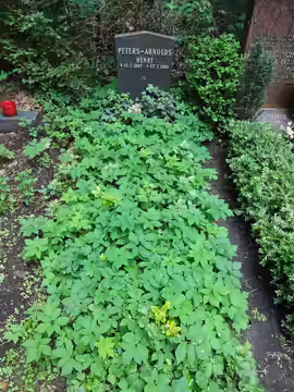 Grab von Henri Peters-Arnolds auf dem Friedhof Heerstraße in Berlin (2018)