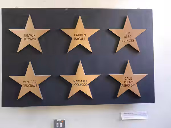2x3 arrays of bronze stars; they were intended to be used on Leicester Square for British Film Year Trevor Howard, Lauren Bacall, Sir Alec Guiness [sic] Vanessa (2014)