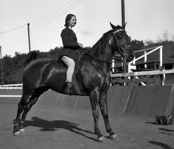 A photograph of actress Rochelle Hudson, popular in the 1930's, posing on her mare, "Queen." (1931)