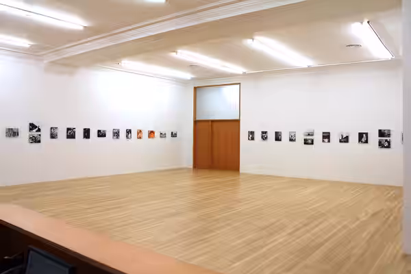 Installation of the 2014 Chris Marker exhibition at Peter Blum Gallery, 20 West 57th Street NY 10019 New York