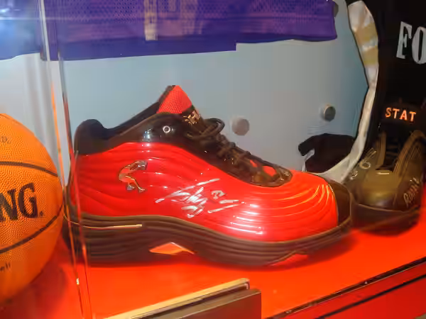 Basketballschuh v. Shaquille O'Neal (2008)