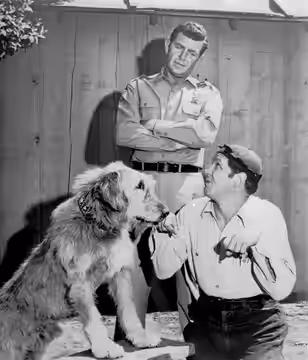 Photo of Andy Griffith and George Lindsey from The Andy Griffith Show. This is the "talking dog" episode where Goober believes he's found a dog that can talk an (1966)