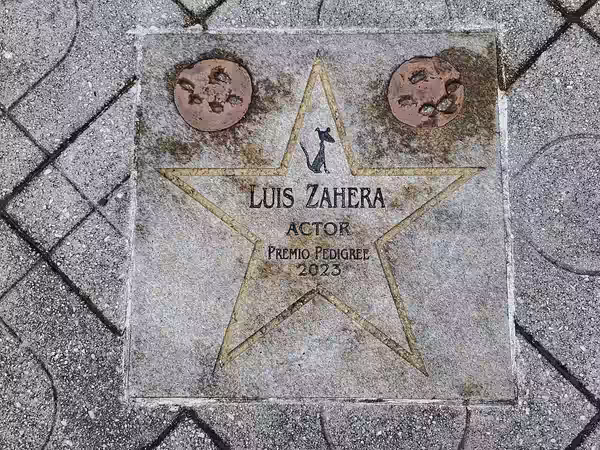 Star in Walk of Fame in Cans (2024)