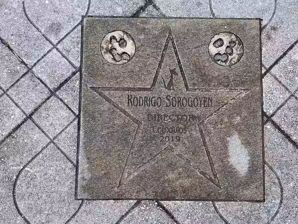 Star in Walk of Fame in Cans (2024)