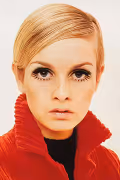 Twiggy