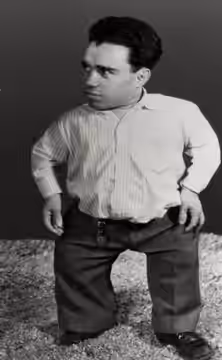 Angelo Rossitto