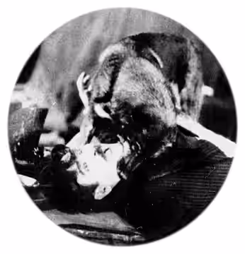 Rin-Tin-Tin and Jack Curtis as the villain in Jaws of Steel (1927)