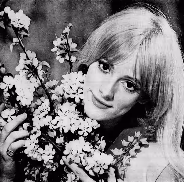 Photo of Sondra Locke from the front cover of the Nashville Tennessean Sunday magazine (1967)
