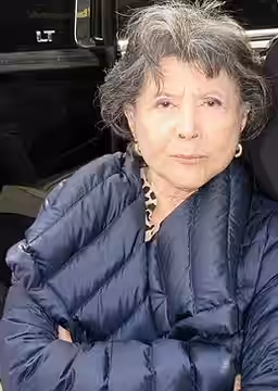 Tsai Chin