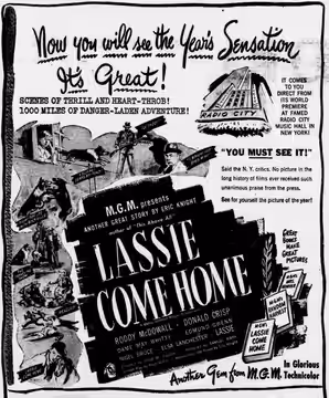 Theater advertisement for the film, Lassie Come Home. 16 December, 1943.