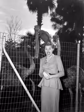 Local call number: c015882 Title: Mari Aldon visits an ostrich farm during Distant Drums (1951) premiere: Saint Augustine, Florida Date: Photographed in Decembe