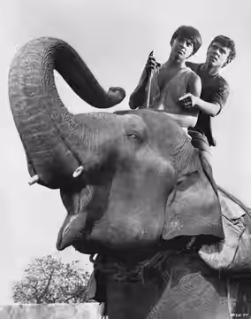 Publicity photo of teen actors Jay North and Sajid Khan promoting their roles on the television series Maya.