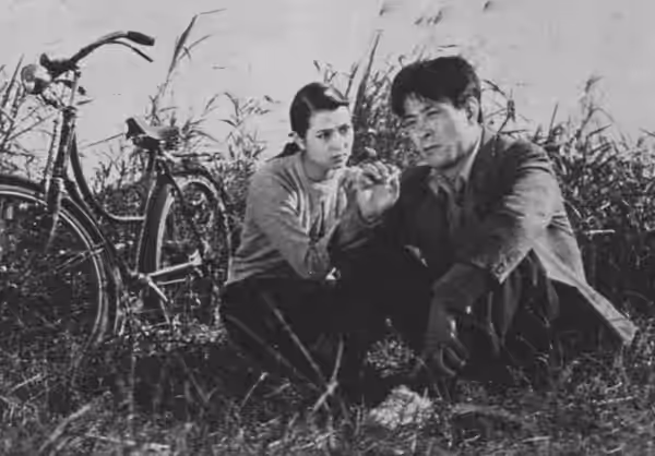 『台風騒動記』。野添ひとみ、菅原謙次。 (1958)