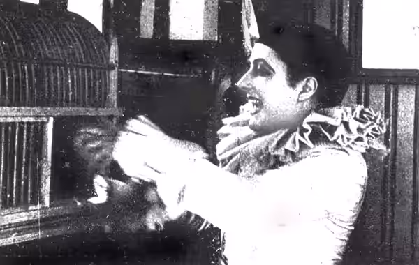 Francesca Bertini interprete di L'Histoire d'un Pierrot (B. Negroni, 1913 - 1914) (2015)