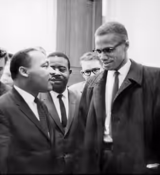MLK and Malcolm X USNWR cropped (Remini enhanced) (2022)