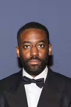 Bashy