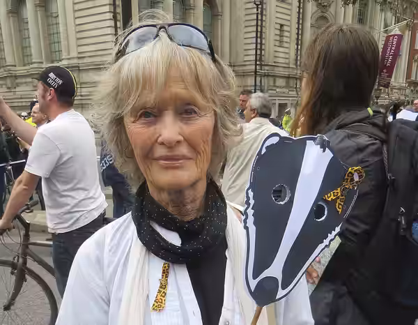 Virginia McKenna at an anti badger cull demo Westminster, London June 2013