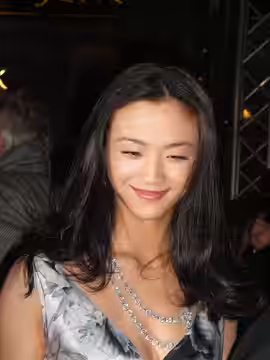 Tang Wei at the 2008 BAFTAS